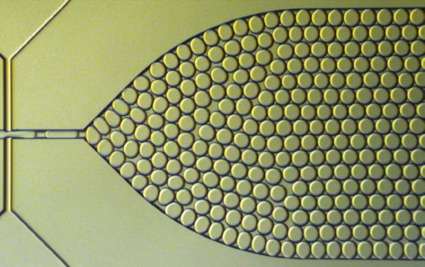 Dolomite Microfluidics speeds and simplifies its nanomaterial development workflow