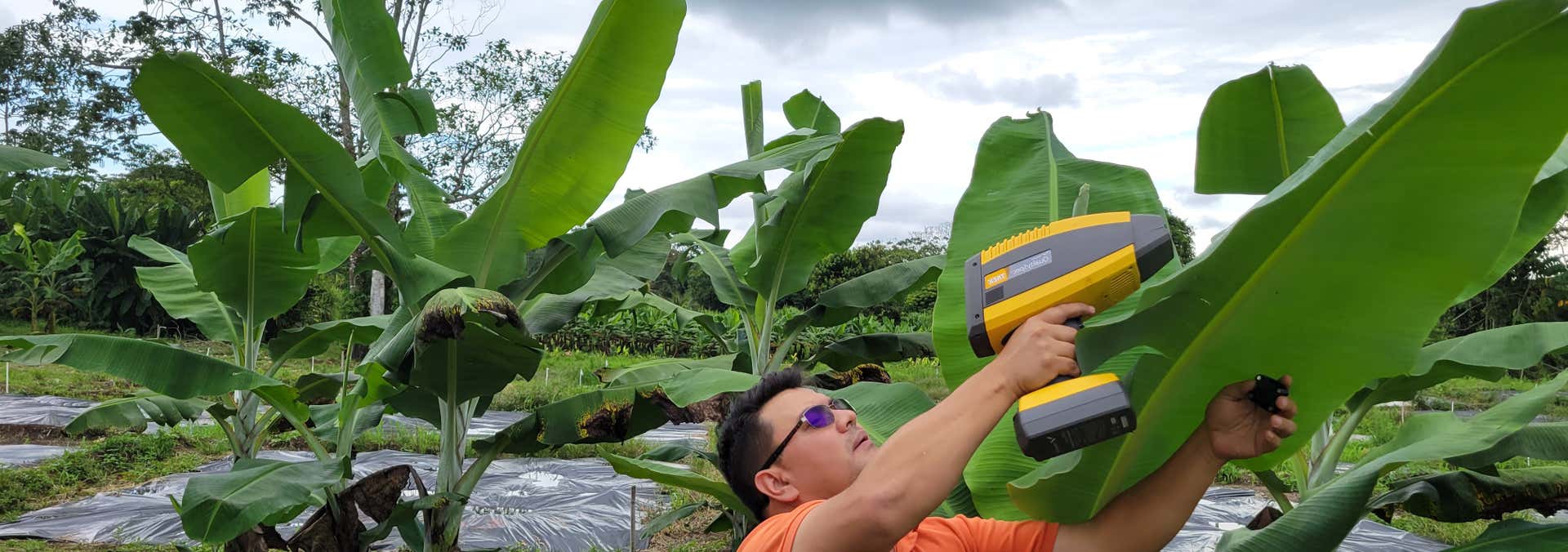 Smart Return: Agriculture - como impulsionar de forma sustentável a sua produção e a sua produtividade na agricultura