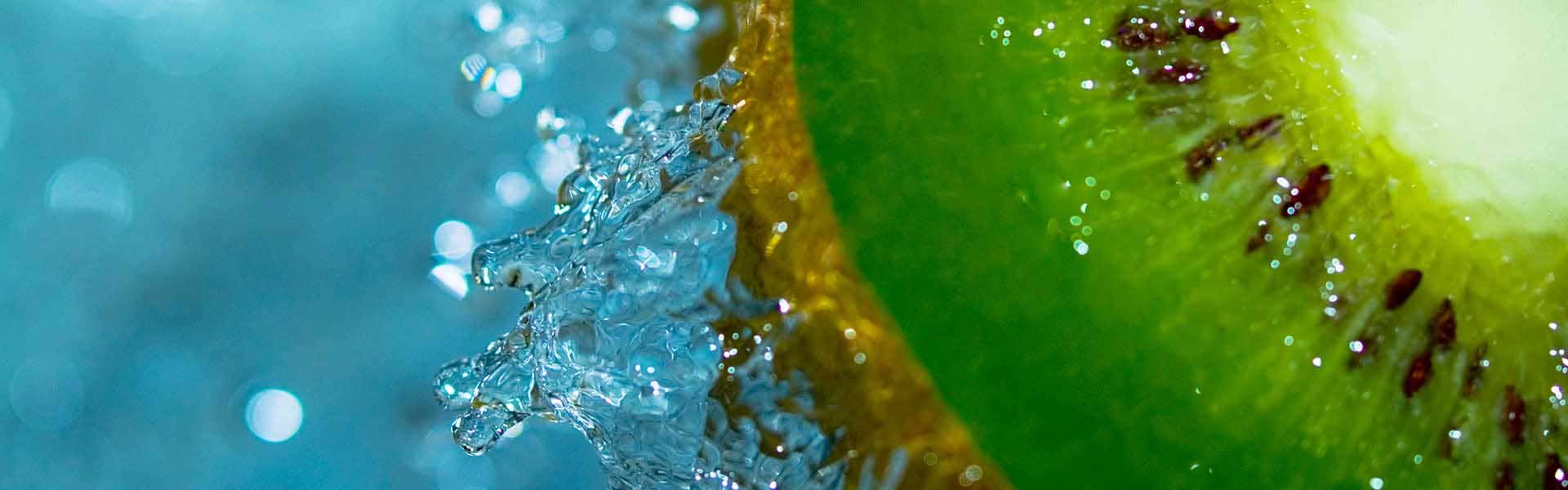 食品與飲料分析 