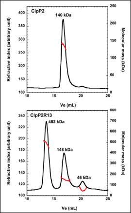 AN140827CharacterizationOfProteinProteinInteractions-image2