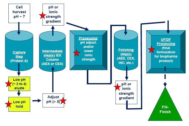 WP160920BiopharmStabilityDSCProcessDevelopment-Figure-5