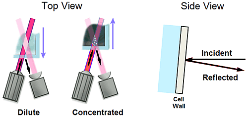 mrk2015_fig09