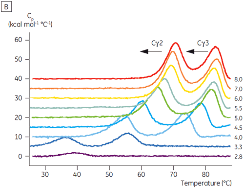 MRK2051-01_fig02b