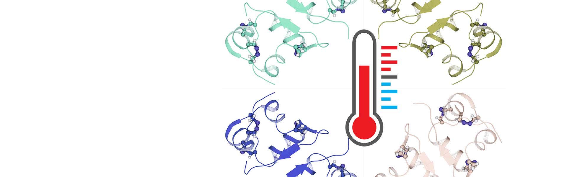등온 적정 열량측정법(ITC)