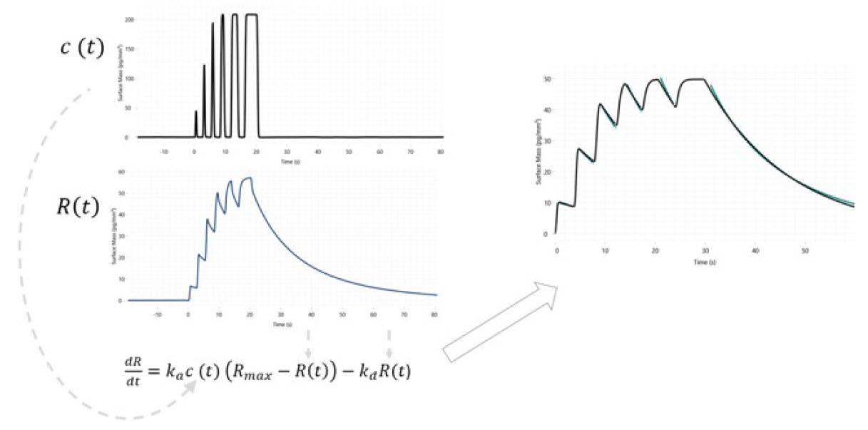 [Figure 2 WP201001-throughput-booster-binding-interaction-screening.jpg] Figure 2 WP201001-throughput-booster-binding-interaction-screening.jpg