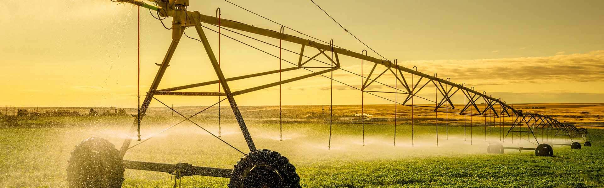 Análisis agroquímico