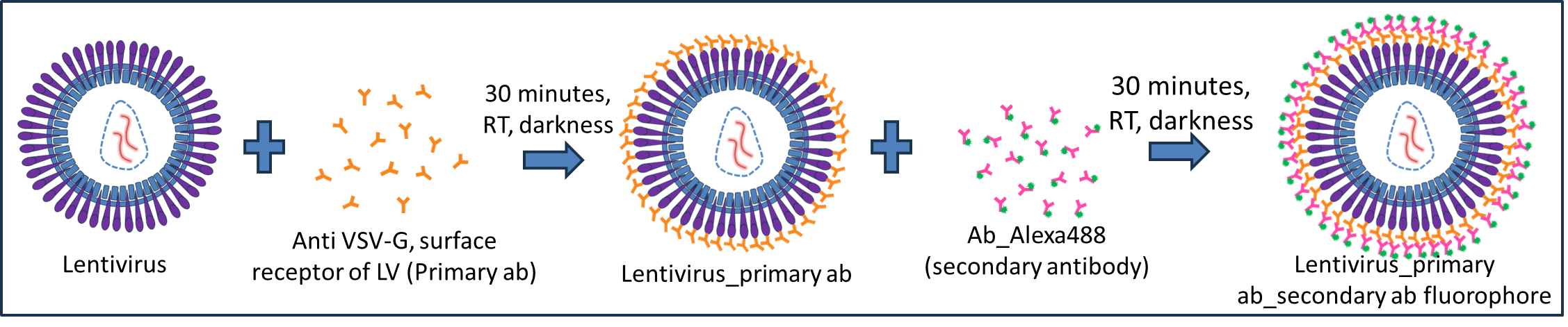 [Figure 1 v2 AN241016-nanosight-pro-vsv-g-identification.png] Figure 1 v2 AN241016-nanosight-pro-vsv-g-identification.png