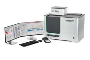 Morphologi range