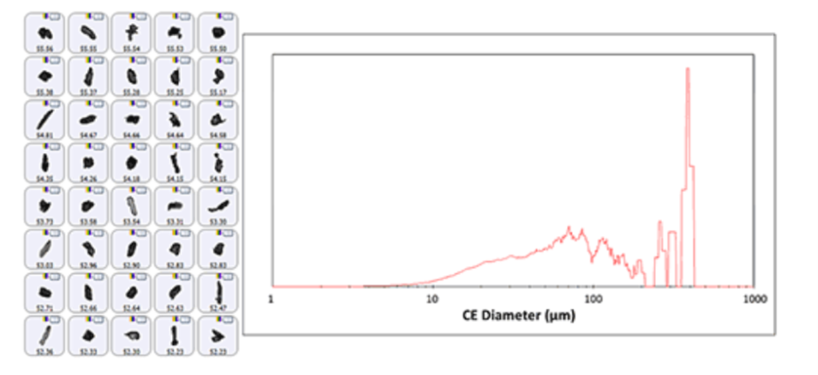 [Figure 1 AN240415-polymorphs-mdrs.png] Figure 1 AN240415-polymorphs-mdrs.png