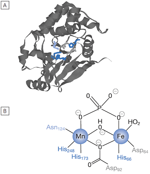 mrk2073_fig02