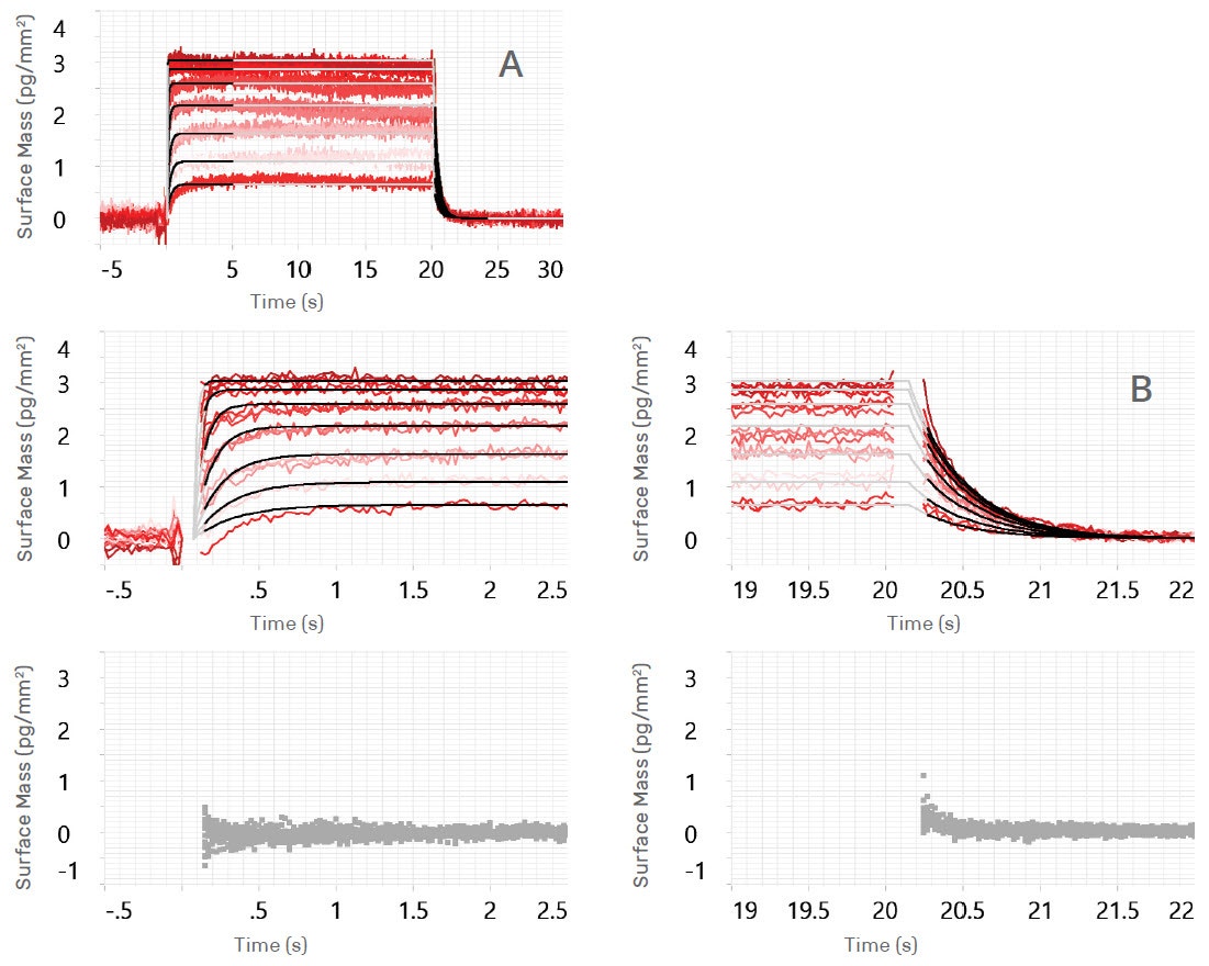 [Figura 1 TN201101-Creoptix-fast-off-rates-to-reduce-false-positives.jpg] Figura 1 TN201101-Creoptix-fast-off-rates-to-reduce-false-positives.jpg