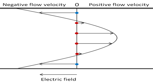 TN140827ZetaPotentialAnalysisUsingZNTA-image2