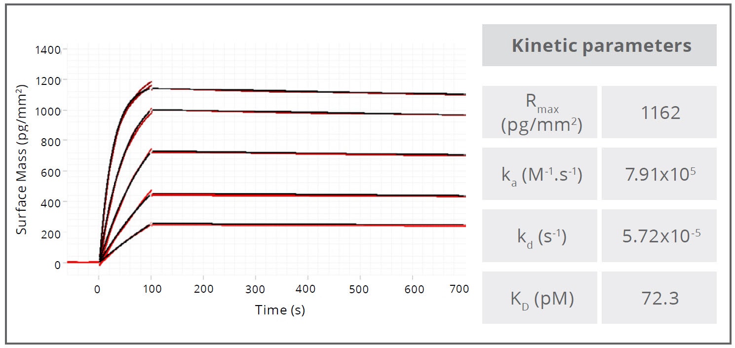 [Figure 3 TN201124-Creoptix-antibody-characterization-plasma-binding.jpg] Figure 3 TN201124-Creoptix-antibody-characterization-plasma-binding.jpg