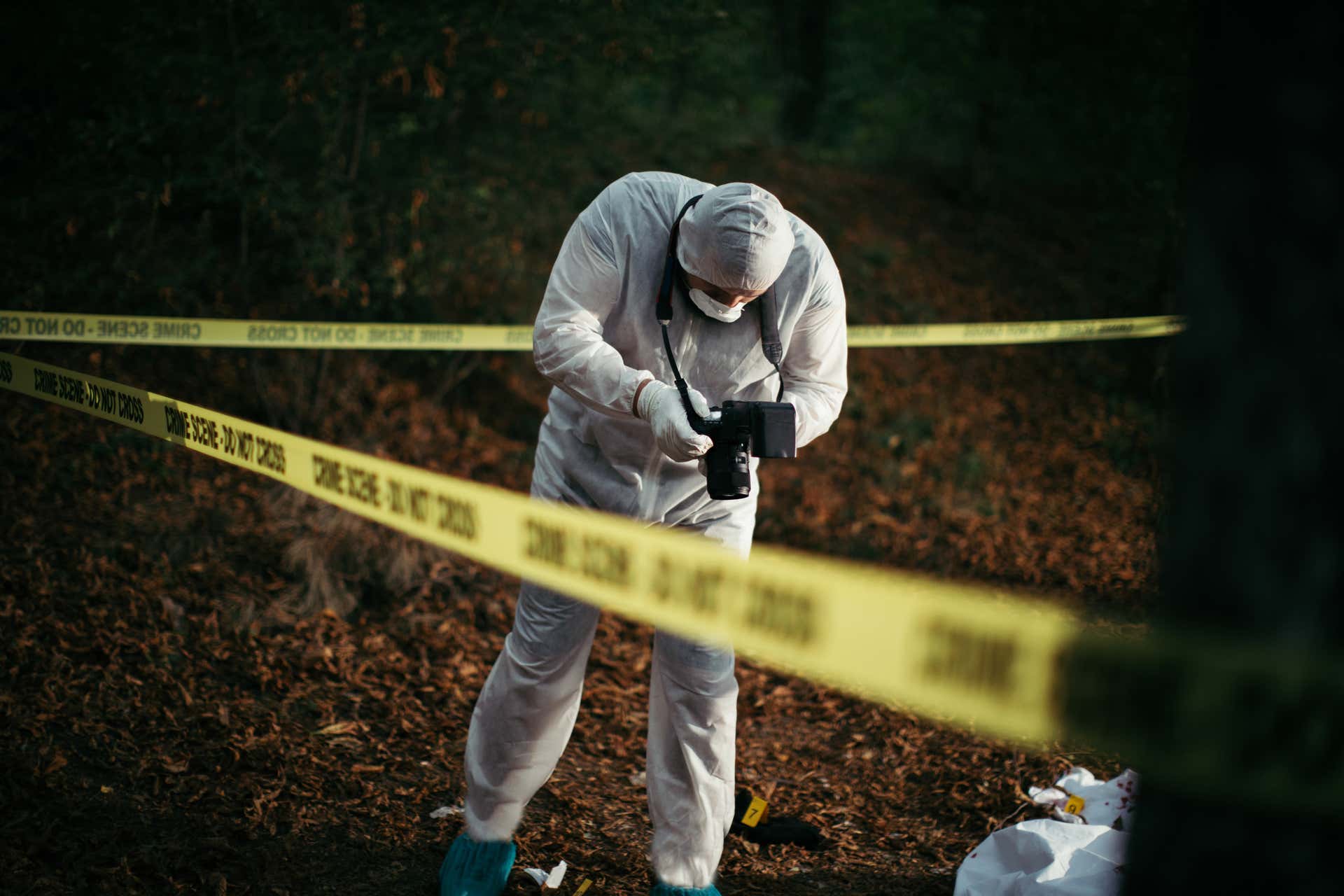Forensic webinars