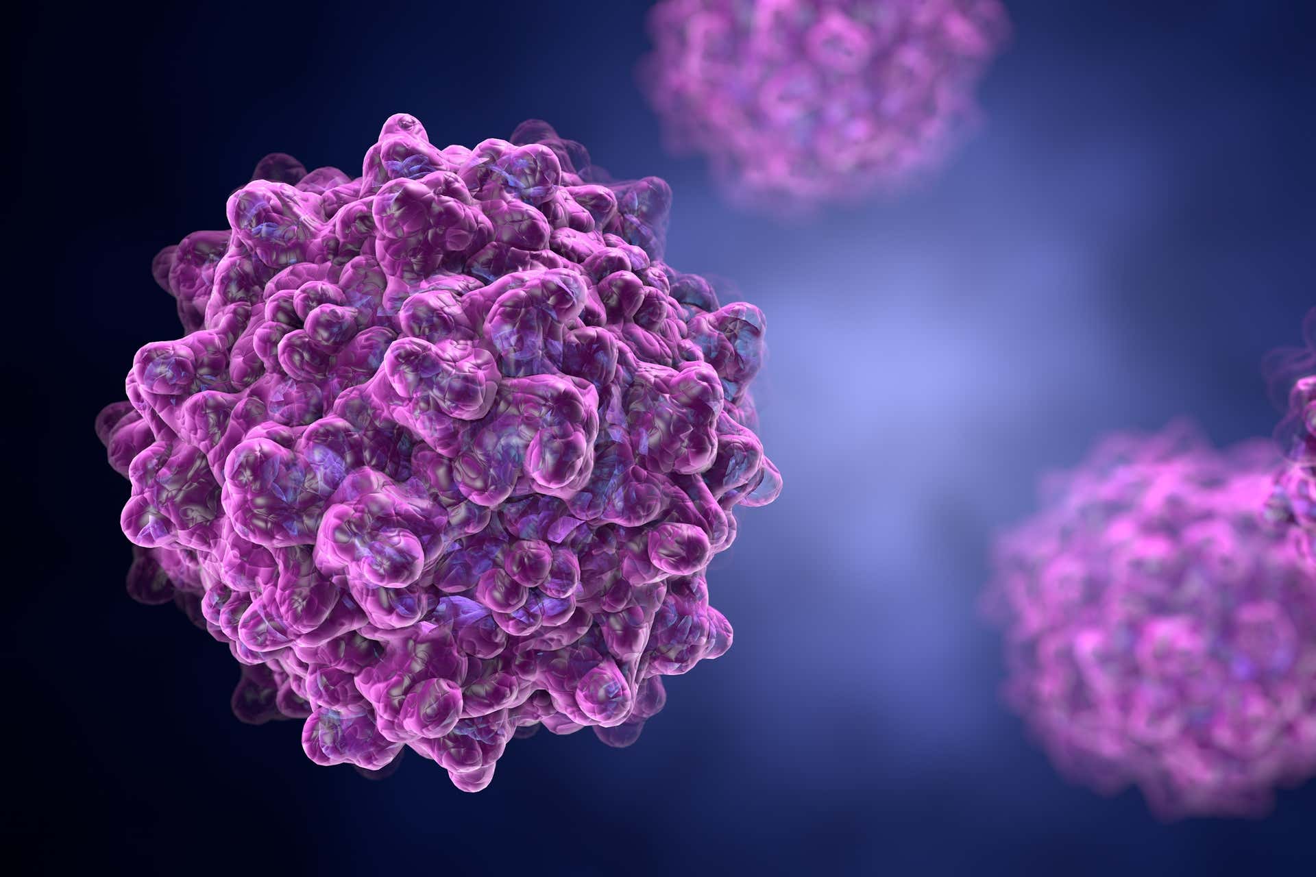 AAV characterization 