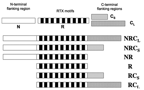 MRK2090-01_fig02a