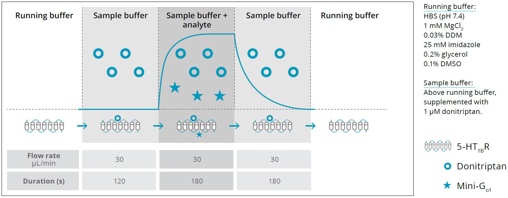 [Figure 2 TN200101-Creoptix-binding-unpurified-GPCRs.jpg] Figure 2 TN200101-Creoptix-binding-unpurified-GPCRs.jpg