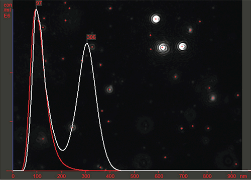 MRK1985-01_Fig_3