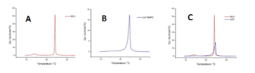 MLVs and LUVs traces