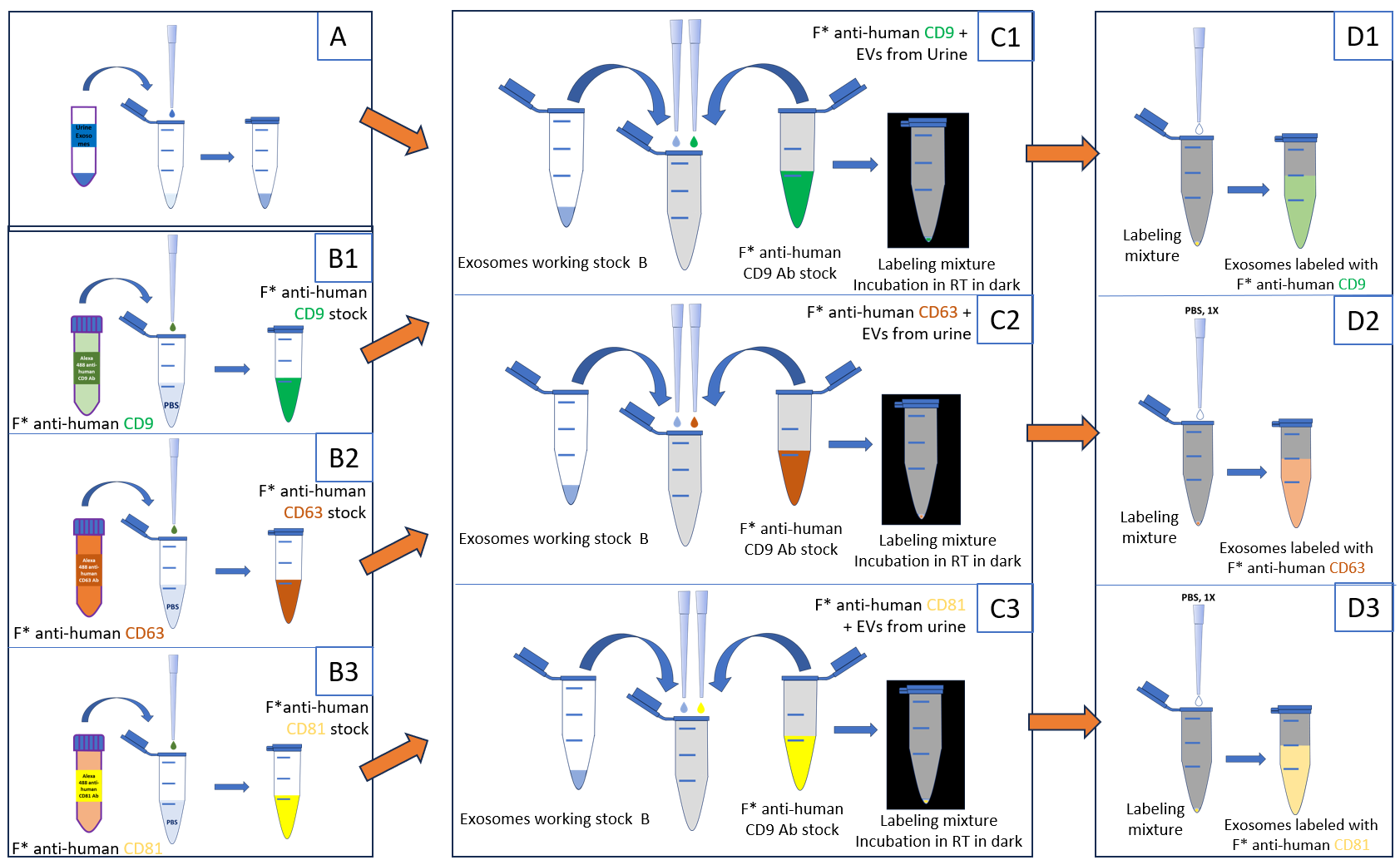 [Figure 6 v2 WP240326-extracellular-vesicles-nta.png] Figure 6 v2 WP240326-extracellular-vesicles-nta.png