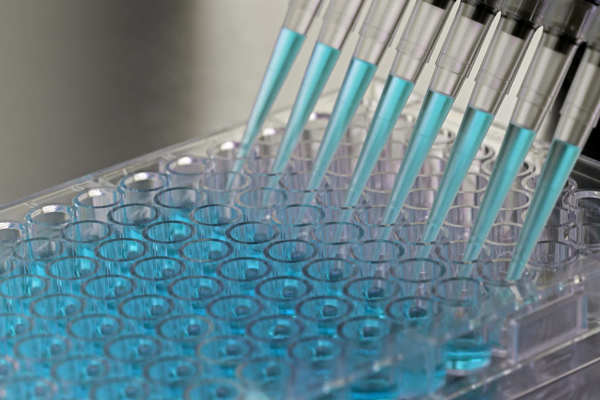 Driving intelligent immunotherapy discovery with tailored immunoassay expertise