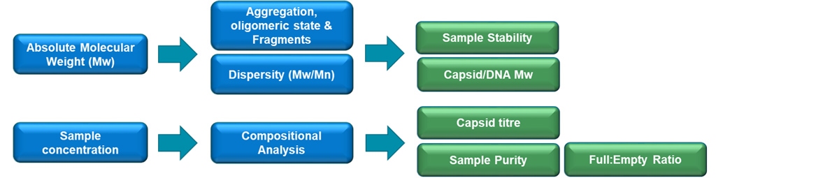 Fig-1-AN200930GeneTherapySEC.jpg