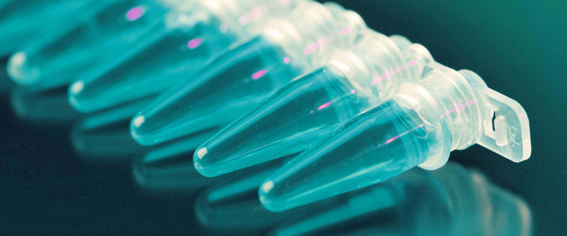 生物制剂的开发