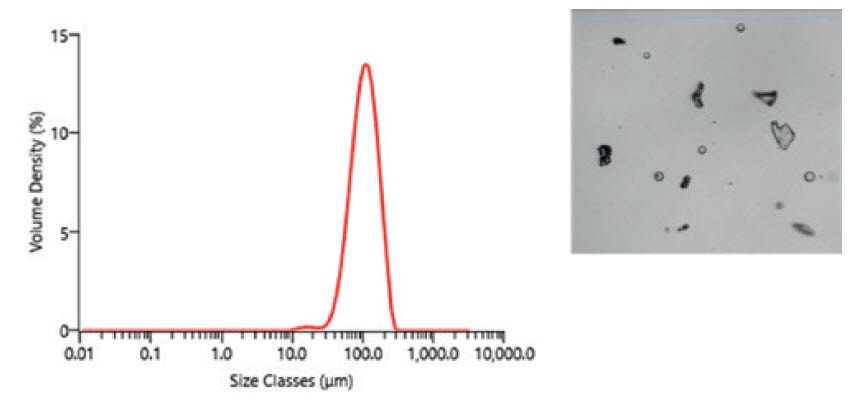 Fig 3 WP210705-5-Compelling-Reasons-Hydro-Insight-Accessory.jpg