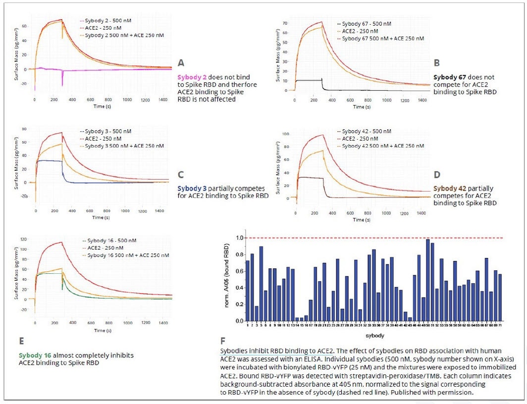 [Figure 1 CS220810-Creoptix-drug-discovery-WAVE.jpg] Figure 1 CS220810-Creoptix-drug-discovery-WAVE.jpg