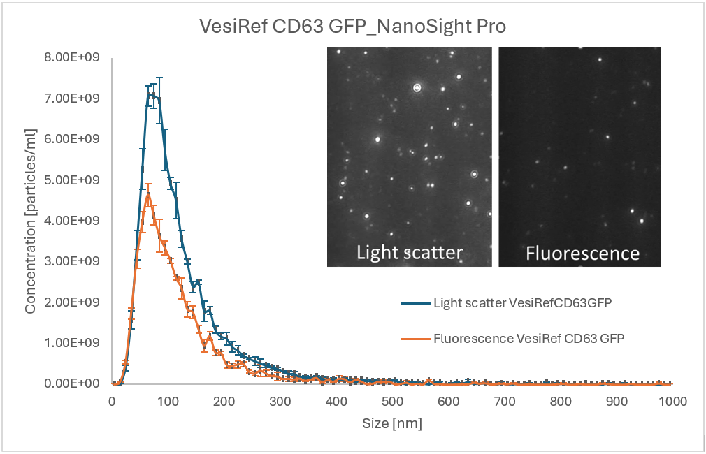[AN251216-figure1.png] AN251216-figure1.png