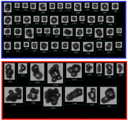 MRK1996-01_fig3a