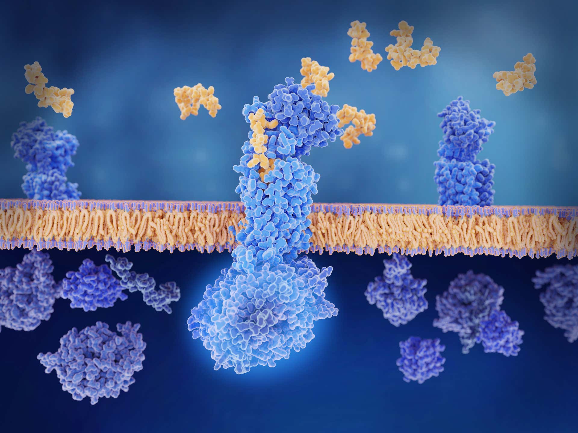 Membrane protein interactions