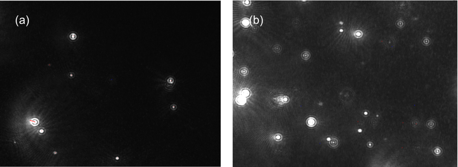 [AN260421-figure3.png] AN260421-figure3.png