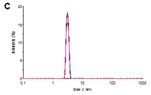 [Figure 4c AN241024-protein-electrophoretic-mobility.jpg] Figure 4c AN241024-protein-electrophoretic-mobility.jpg