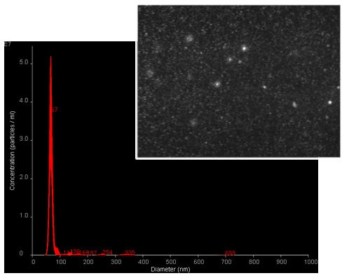 Screen shot of light scattered by 70nm silica particles when viewed with NanoSight NS300 and the associated size-ditribution profile showing a single peak from the analysis of the sample