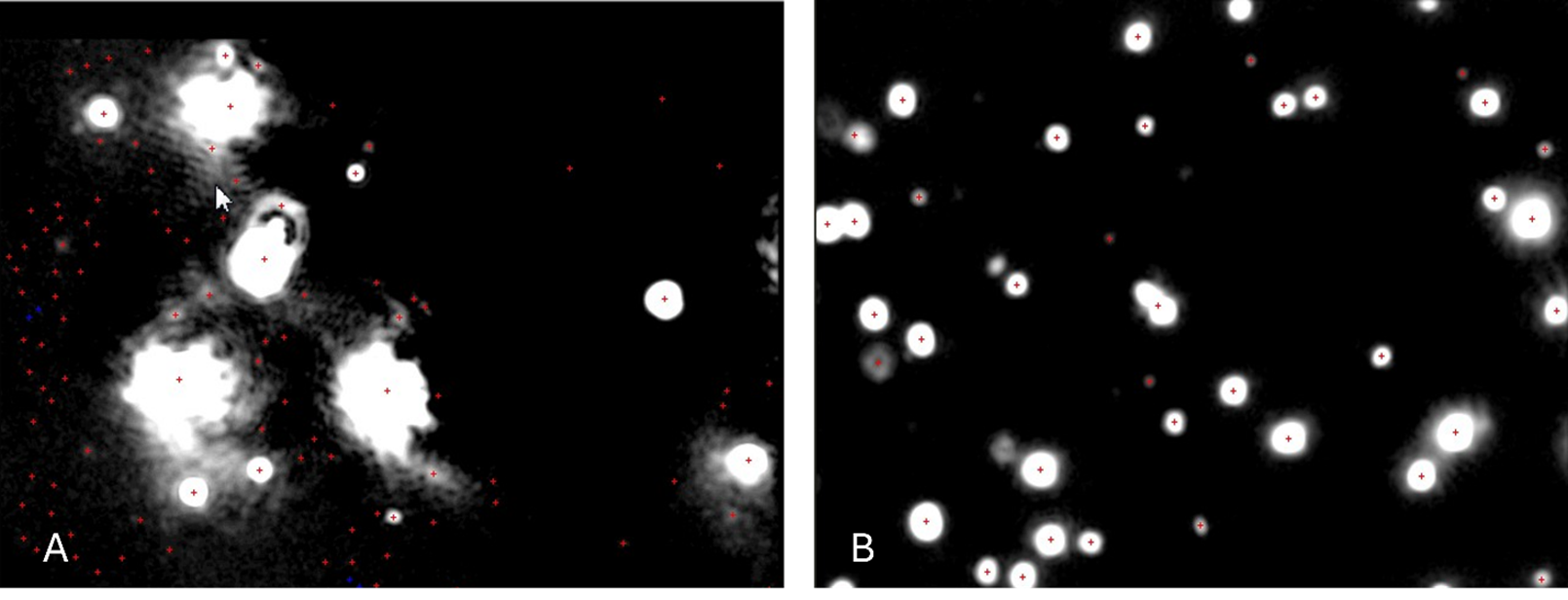 [Figure 2 TN241202-nanosight-pro-neutral-density-filter.png] Figure 2 TN241202-nanosight-pro-neutral-density-filter.png