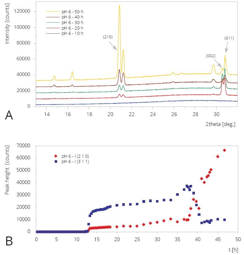 Fig 6.JPG