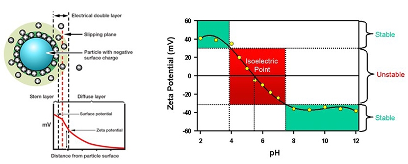 Fig. 21 small.jpg