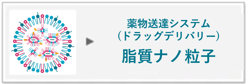 ドラッグデリバリーシステム