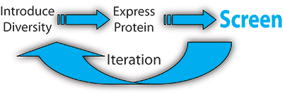 mrk2146_fig01