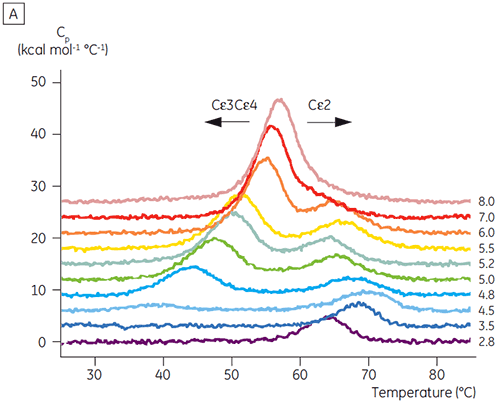 MRK2051-01_fig02a