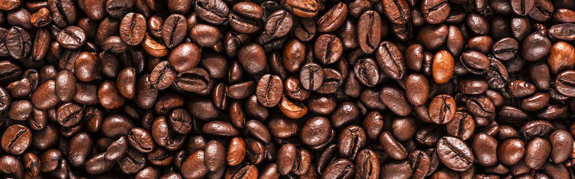 コーヒーの粒度分布分析 