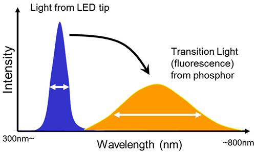 MRK1996-01_fig1b