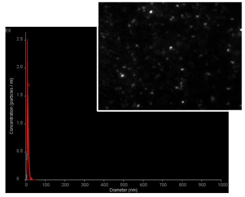 Screen shot of light scattered by 15nm gold particles when viewed with NanoSight NS300 and the associated size-ditribution profile showing a single peak from the analysis of the sample 