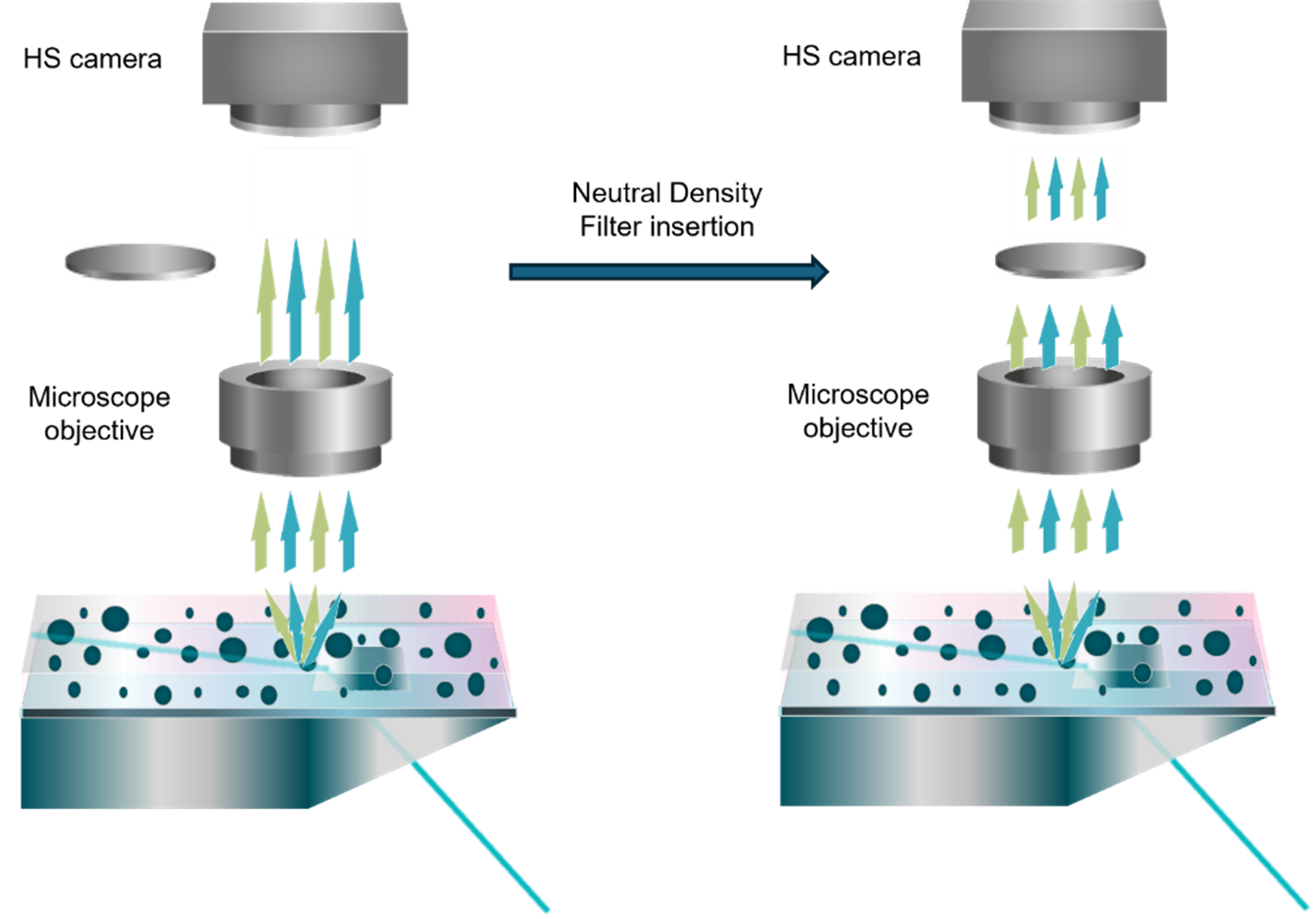 [Figure 1 TN241202-nanosight-pro-neutral-density-filter.png] Figure 1 TN241202-nanosight-pro-neutral-density-filter.png