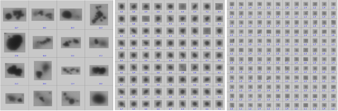[AN250716-figure2.png] AN250716-figure2.png