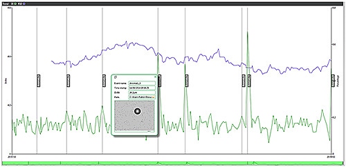 MRK2117_fig36