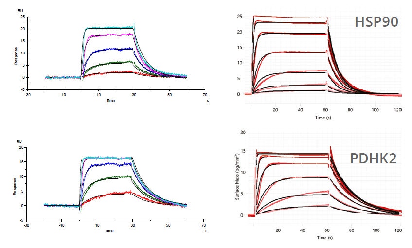 [Figure 2 TN201001-Creoptix-screening-crude-reaction-mixtures.jpg] Figure 2 TN201001-Creoptix-screening-crude-reaction-mixtures.jpg