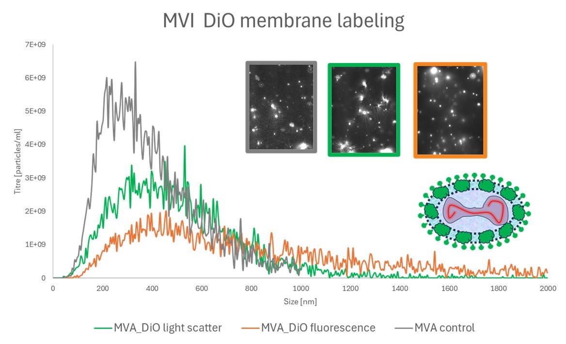 [Figure 4 AN241016-identifying-viral-vectors-nanosight-pro.jpg] Figure 4 AN241016-identifying-viral-vectors-nanosight-pro.jpg