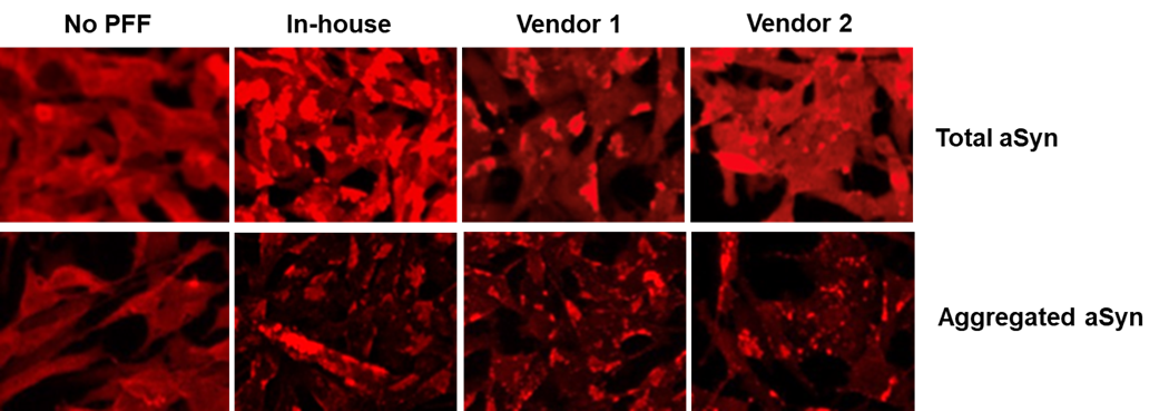 [AN250929-figure-3.png] AN250929-figure-3.png